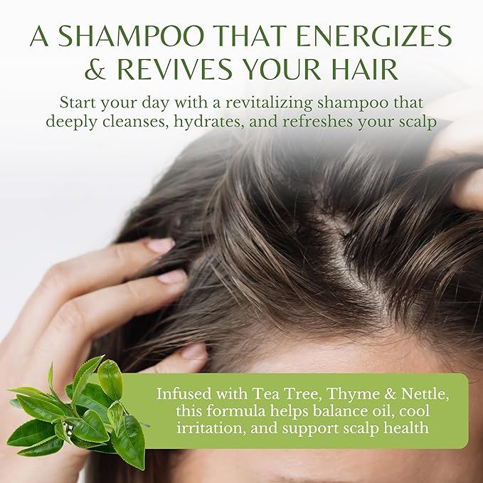 Tea Tree Oil Shampoo, Deep Cleansing for Buildup & Oily Scalp, Soothes Itchy Scalp & Refreshes Hair, Sulfate Free, Women & Men, Natural Shampoo, 16 fl oz