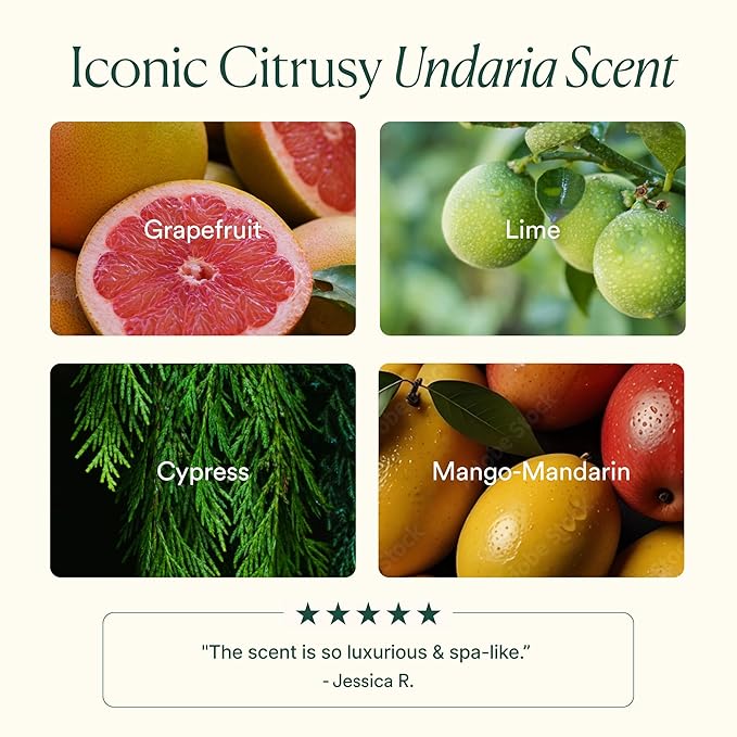 OSEA Undaria Algae™ Body Wash - pH Balanced - Hydrating & Moisturizing Citrus Scented Cleanser - Clean, Vegan, Non-Toxic Skincare - 8oz