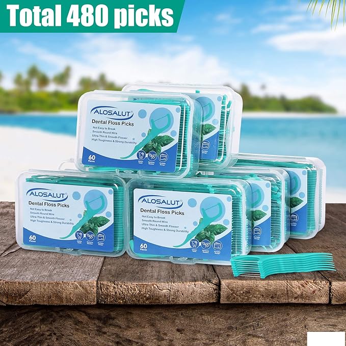 480 Count Dental Floss Picks – Mint Flavored Flossers with Built-in Toothpick for Deep Cleaning – 8 Portable Boxes of 60 – Strong & Smooth Floss Sticks for Family Home Travel for Adults