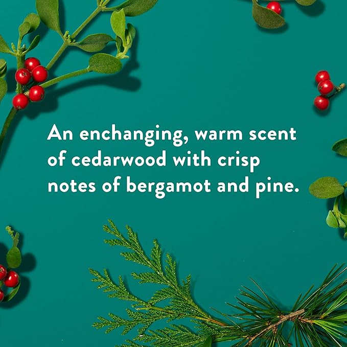 Native Body Wash, Holiday Edition, Fresh Mistletoe Scent, Contains Naturally Derived Ingredients | For Women & Men, Sulfate, Paraben, & Dye Free Leaving Skin Soft and Hydrated | 18 oz