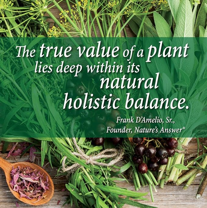 Nature's Answer Periobrite Wintermint All-Natural Mouthwash Promotes Healthy Teeth & Gums, Fights Bad Breath Flouride-Free 16oz (2 Pack)