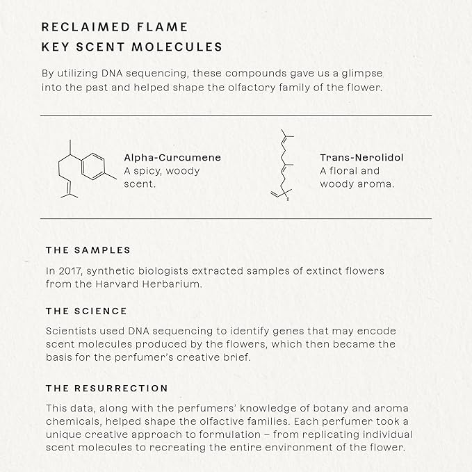 Future Society Reclaimed Flame Perfume - Rich Citrus Eau de Parfum with Notes of Bergamot, Grapefruit & Eucalyptus - Luxury Perfume Inspired by Africa's Wildflower - Modern Unisex Fragrance - 50ml