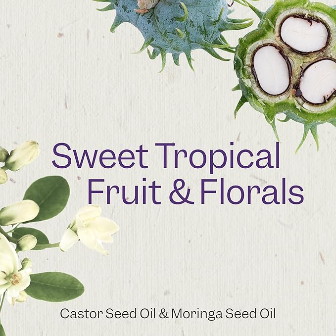 Renpure Moringa & Castor Shampoo, Plant-Based - Curl Enhancing - For Moisturized, Manageable & Smooth Curls - With Castor & Moringa Seed Oil - For Wavy To Curly Hair - 24 Fl Oz