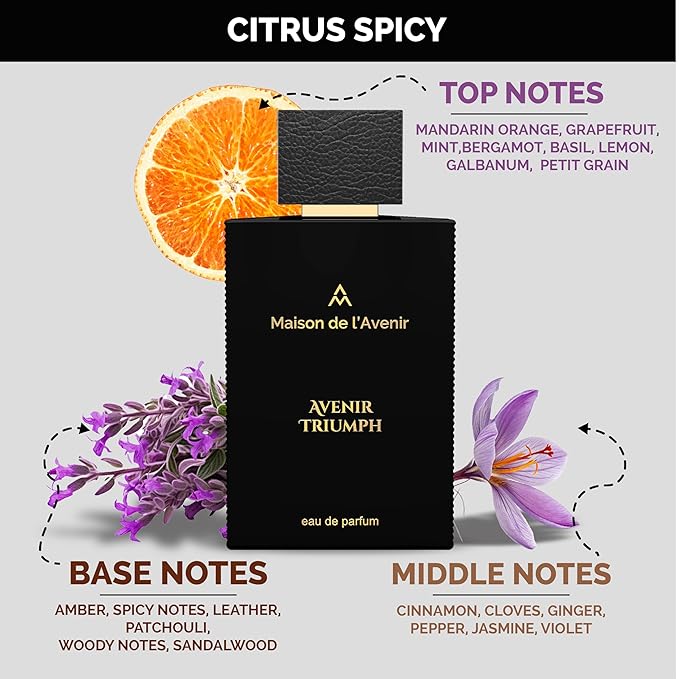 Maison de l'Avenir Avenir Triumph – SUPERNOVA COLLECTION | Citrus Spicy Fragrance | Unisex Cologne & Perfume | Natural & Essential Oils | Eau de Parfum (24 Hours) | Made in UAE | 100ml / 3.4 fl. oz.