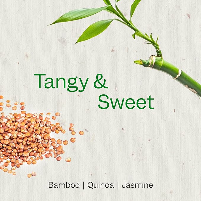 Renpure Bamboo & Quinoa Shampoo, Plant-Based – Restores, Hydrates & Strengthens For Healthier Hair – For Weak, Dull & Damaged Hair - Bamboo Extract & Quinoa Protein – 24 Fl Oz
