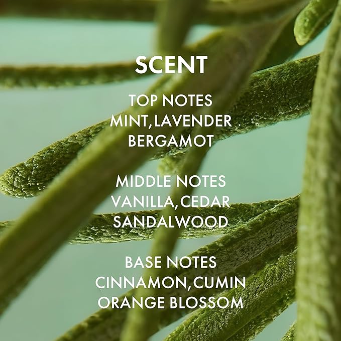 ALFHEIM Rosemary+ Purifying Leave-In Spray Conditioning & Refreshing Spray for Oily & Fine Hair with Rosemary, Peppermint & Jojoba Oils – Mist – Lightweight, Smooths & Revives – 5.4 oz / 160 ml