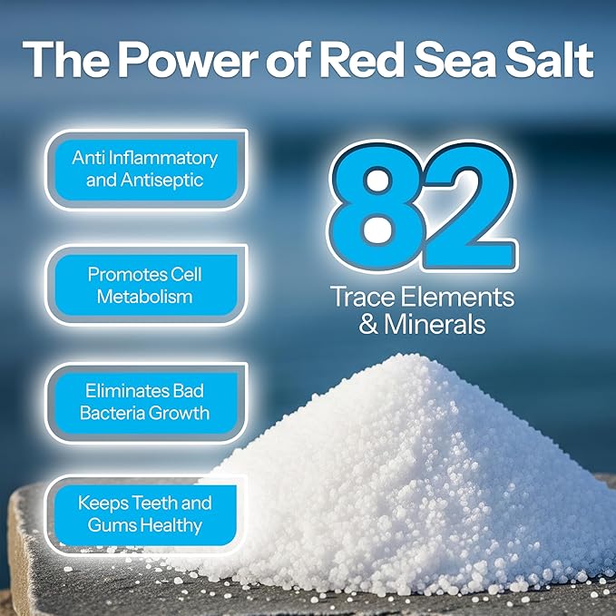 H2Ocean Healing Rinse Natural Sea Salt Whitening Mouthwash - Alcohol & Fluoride-Free Oral Care for Tonsil Stones, Sore Throats, Wisdom Teeth Recovery & Gum Health - Arctic Ocean Mint, 8 oz (Pack of 2)