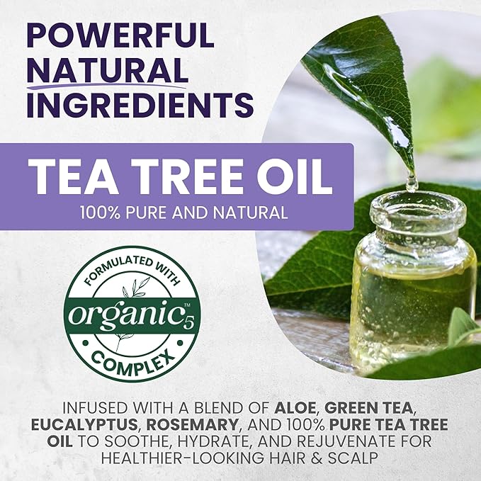 Tea Tree Purple Shampoo & Conditioner Set with Rosemary & Aloe, Professional Anti Brass Toner, Removes Yellow Tones for Gray, Bleached, White & Blonde Hair, Refreshes Scalp, Sulfate-Free