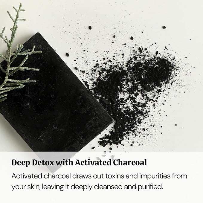 Organics Charcoal Cleansing Soap by Schizandu, Organic Herbal Skin Detox with Activated Charcoal, 4 oz, Moisturizing, Nourishing Beauty Bar