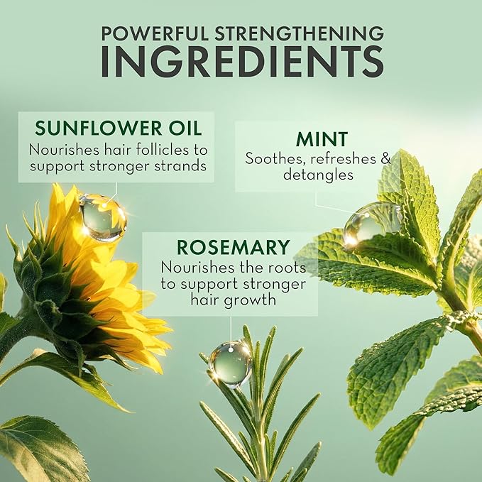 Leave In Conditioner Spray - Rosemary & Mint Scalp Treatment - Anti-Dandruff and Dry & Itchy Scalp treatment, Hydrating & Medicated Formula for Psoriasis and Scalp Care - Detangles & Nourishes Hair.