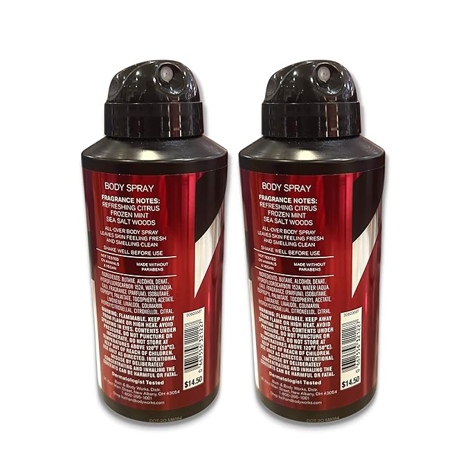 Bath & Body Works Sport Body Spray - Men's Collection - 3.7 oz (Pack of 2)