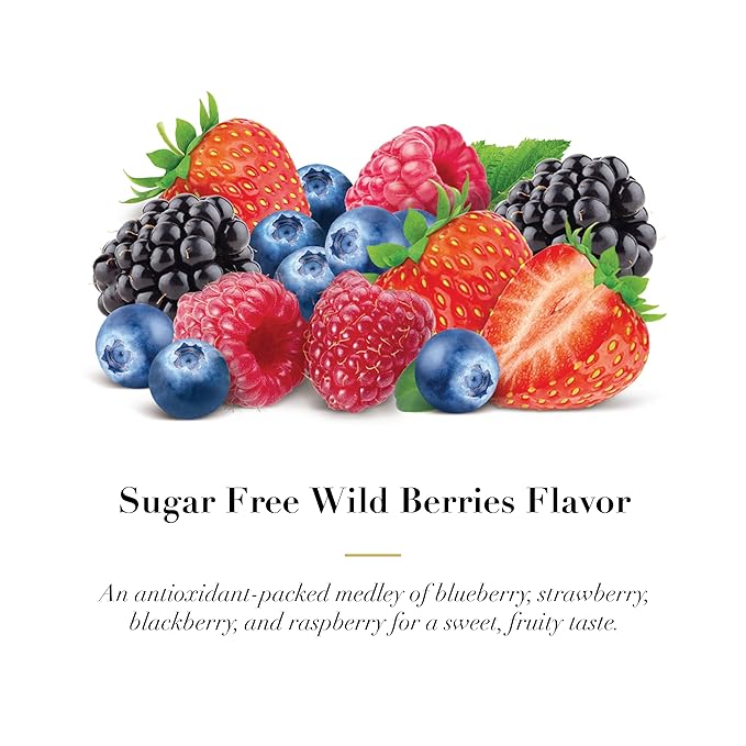 Dr. Doolittle’s Sugar Free Pastilles for Voice and Throat, Wild Berry Flavor, Travel Size Bag,0.33 ounces approximately 4 Count Package, 6 Pack