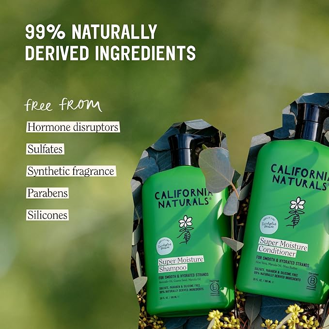 California Naturals Eucalyptus Breeze Moisture Shampoo and Conditioner Set for Dry Damaged Hair, Hydrating, Scalp & Hair Care, Natural, Vegan, Cruelty, Paraben & Sulfate Free, Color Safe, 20 fl oz