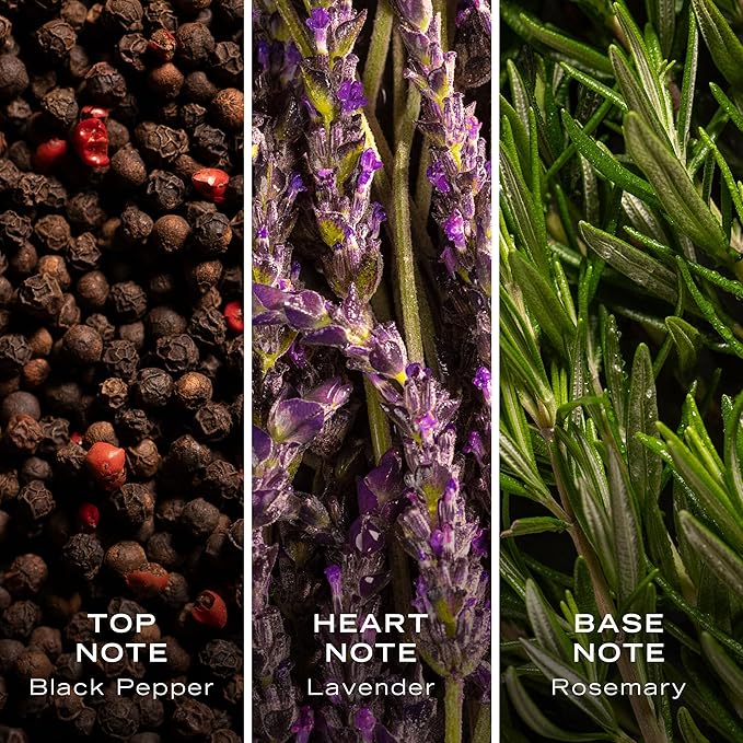 Nautica Color Red Eau de Toilette for Men, Aromatic Fougere Fragrance, Notes of Black Pepper, Lavender and Rosemary, 1.6oz