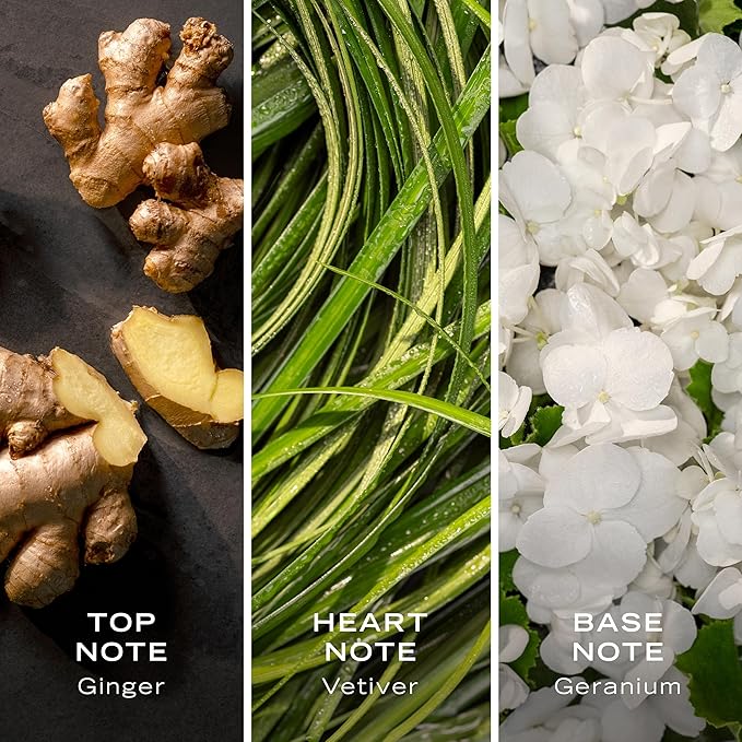 Nautica Color Green Deodorizing Body Spray for Men, Woody Fougere Fragrance, Notes of Ginger, Geranium and Vetiver, 6.0oz